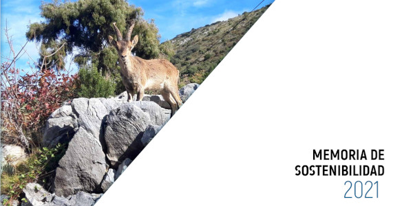 Memoria sostenibilidad 2021 